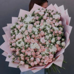101 кустовая пионовидная роза белого и розового цвета 101 кустовая пионовидная роза белого и розового цвета